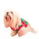 Saco Traje Buzo Navideño Para Perro Gato Talla S