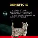 Comida para gato Purina Pro Plan Veterinary Diets EN Dietas Gastroentérico x 1,5kg