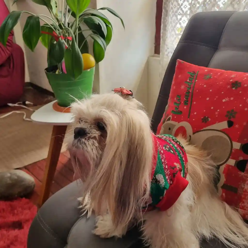 Suéter De Felpa Navideño Buzo Para Perro Gato Talla M