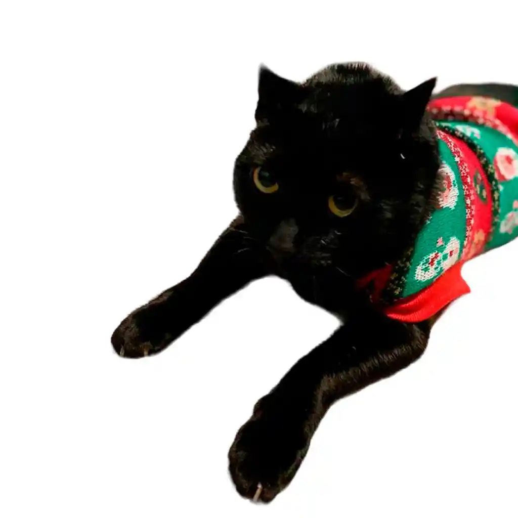 Suéter Navideño Para Perro Gato Buzo Talla L Adorable