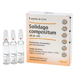 Solidago Compositum X Ampolla 2.2 Ml Uso Veterinario Homeopático