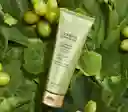 Limpiador Elixir De Vida Sentiva Yanbal