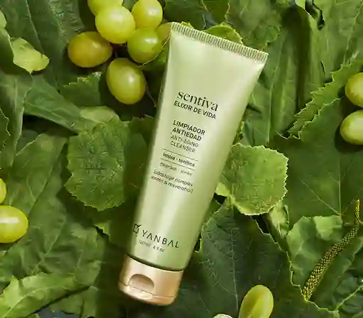 Limpiador Elixir De Vida Sentiva Yanbal