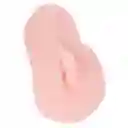 Vagina Afrodita