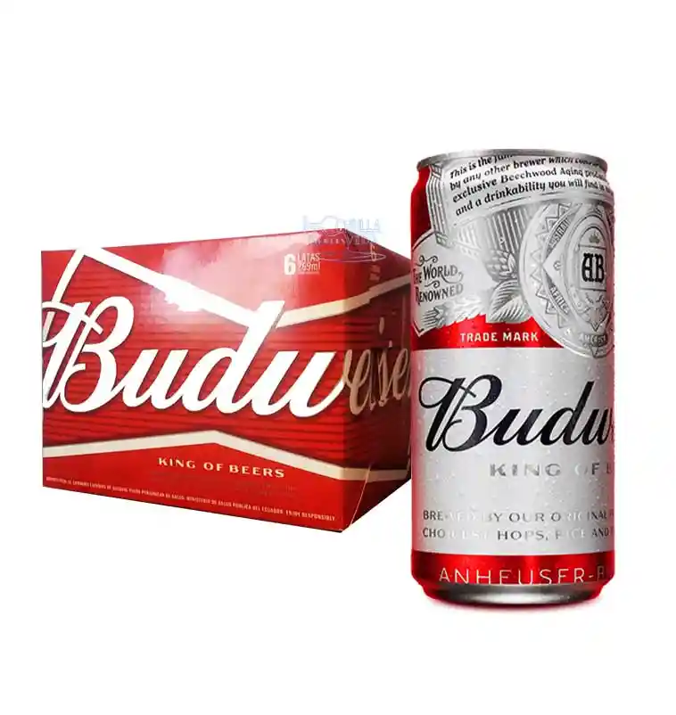 Sixpack Budweiser