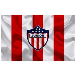 Bandera Junior De Barranquilla 1.50x90cm Exterior Grande