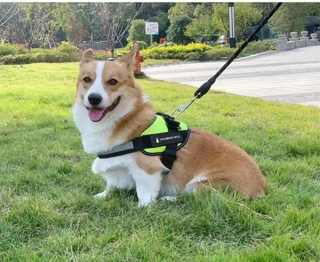 Arnés Para Perros Antitirones M Verde