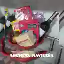 Ancheta Navvideña