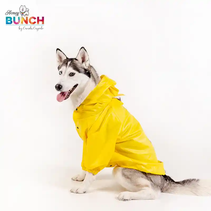 Impermeable Chaqueta Amarillo - Talla S