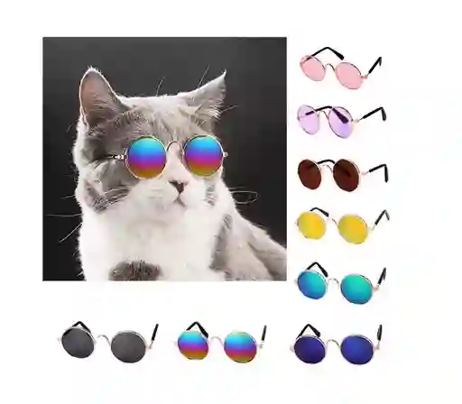 Gafas Mascotas Gatos Y Perros Pequeños Lente Redondo