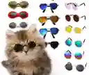 Gafas Para Mascotas Gatos Y Perros Pequeños - Lente Triangular