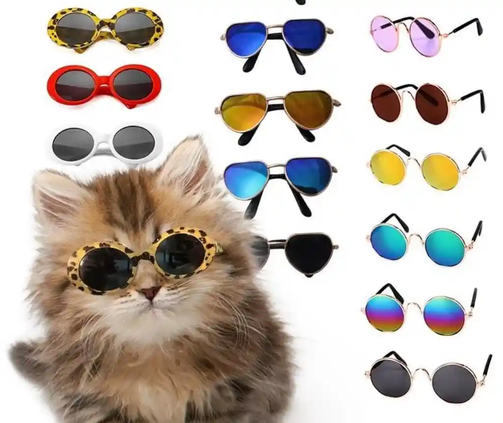 Gafas Para Mascotas Gatos Y Perros Pequeños - Lente Triangular