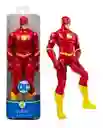 Muñeco The Flash Dc Figura Articulada 30cm Original