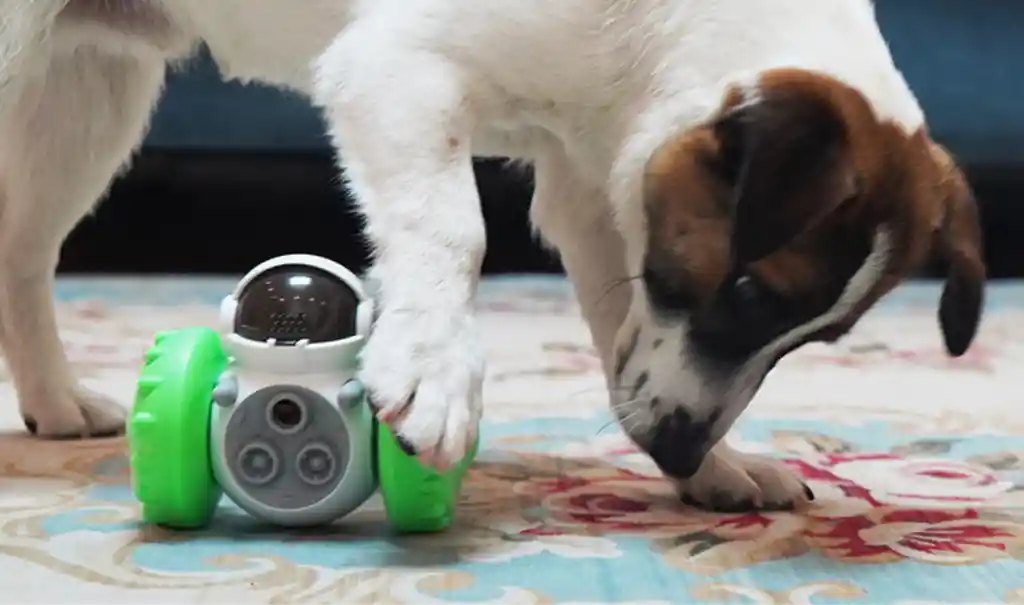 Juguete Astronauta Dispensador Comida Mascotas