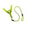 Accesorio Mascota Mq-p34