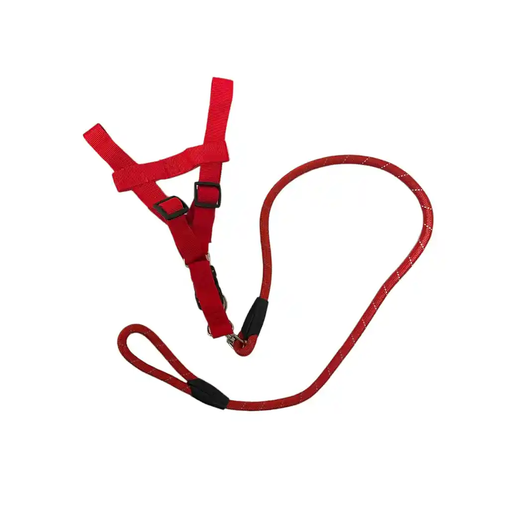 Accesorio Mascota Mq-p34