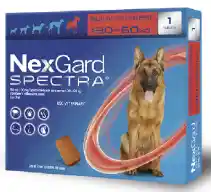 Nexgard Spectra Xl Oral (30 - 60 Kg) Cja X 1 Tab - Unida