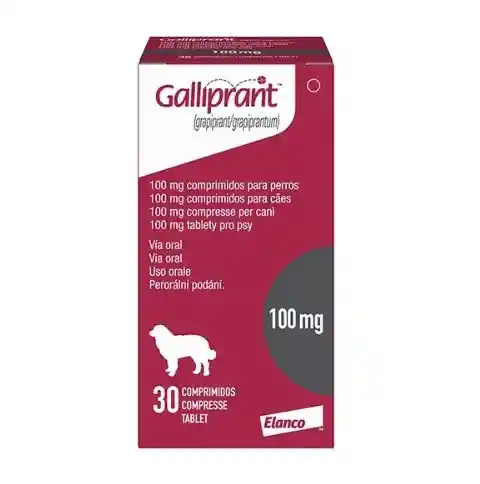 Galliprant 100mg