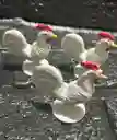 Animales Maqueta Gallo Blanco