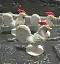 Animales Maqueta Gallo Blanco