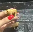Animales Maqueta Toro Habano