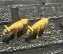 Animales Maqueta Toro Habano