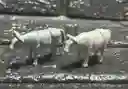 Animales Maqueta Toro Gris