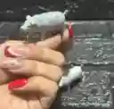 Animales Maqueta Cerdo Gris