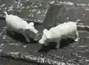 Animales Maqueta Cerdo Gris