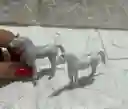 Animales Maqueta Burro Gris