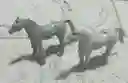 Animales Maqueta Burro Gris