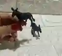 Animales Maqueta Burro Negro