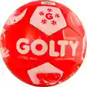 Balón De Futbol Formación Golty Dino Cosido A Maquina #4