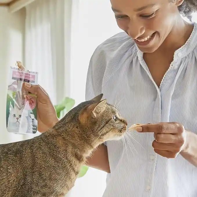 Snack Para Gatos Filete De Atun En Caldo De Cangrejo 15 Gr Inaba Filete De Gato