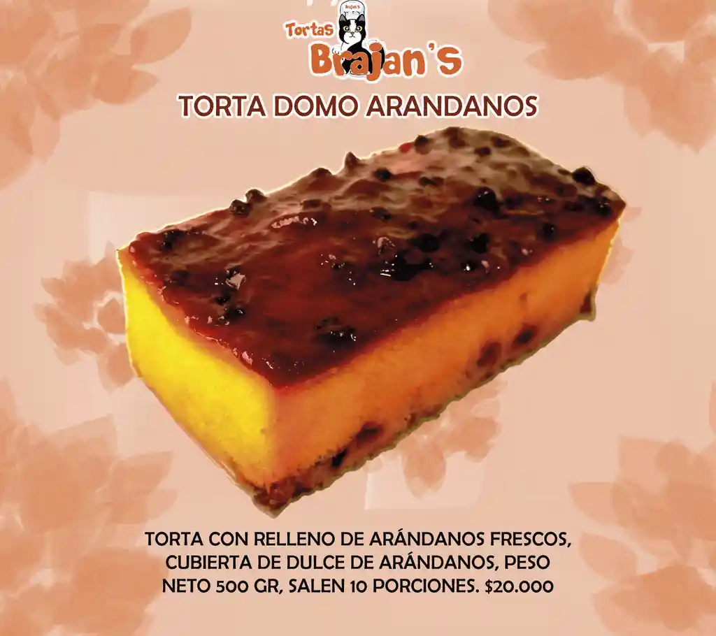 Torta Domo De Arandanos