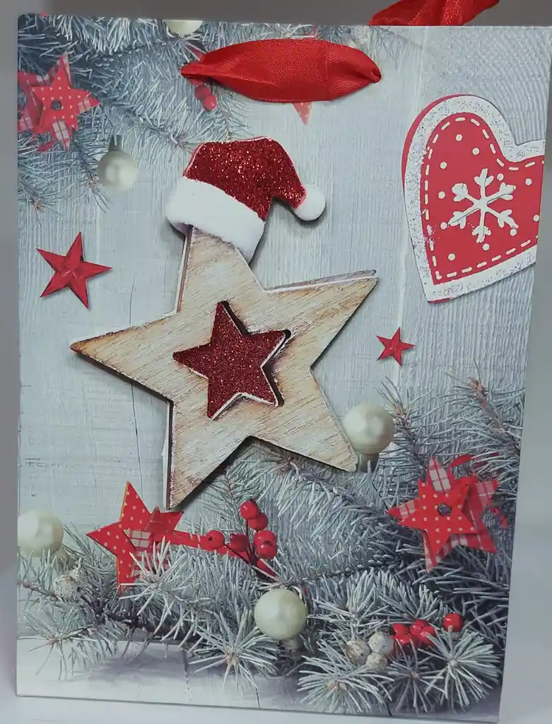 Bolsa De Regalo Navideña Modelo 2