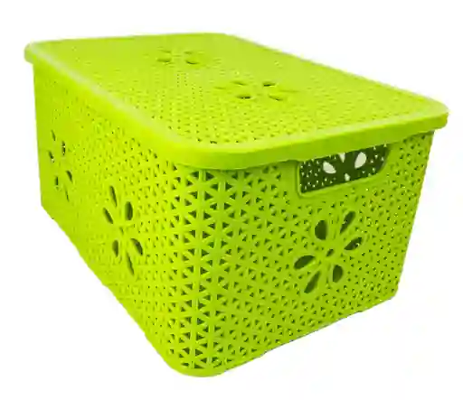 Caja Organizadora Ratan 8 Lt