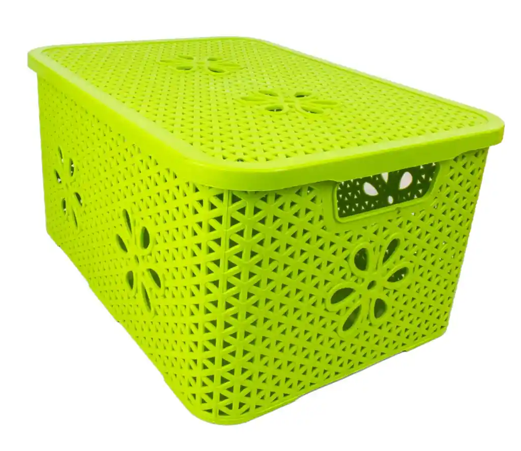 Caja Organizadora Ratan 8 Lt