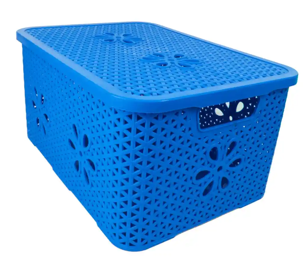 Caja Organizadora Ratan 8 Lt