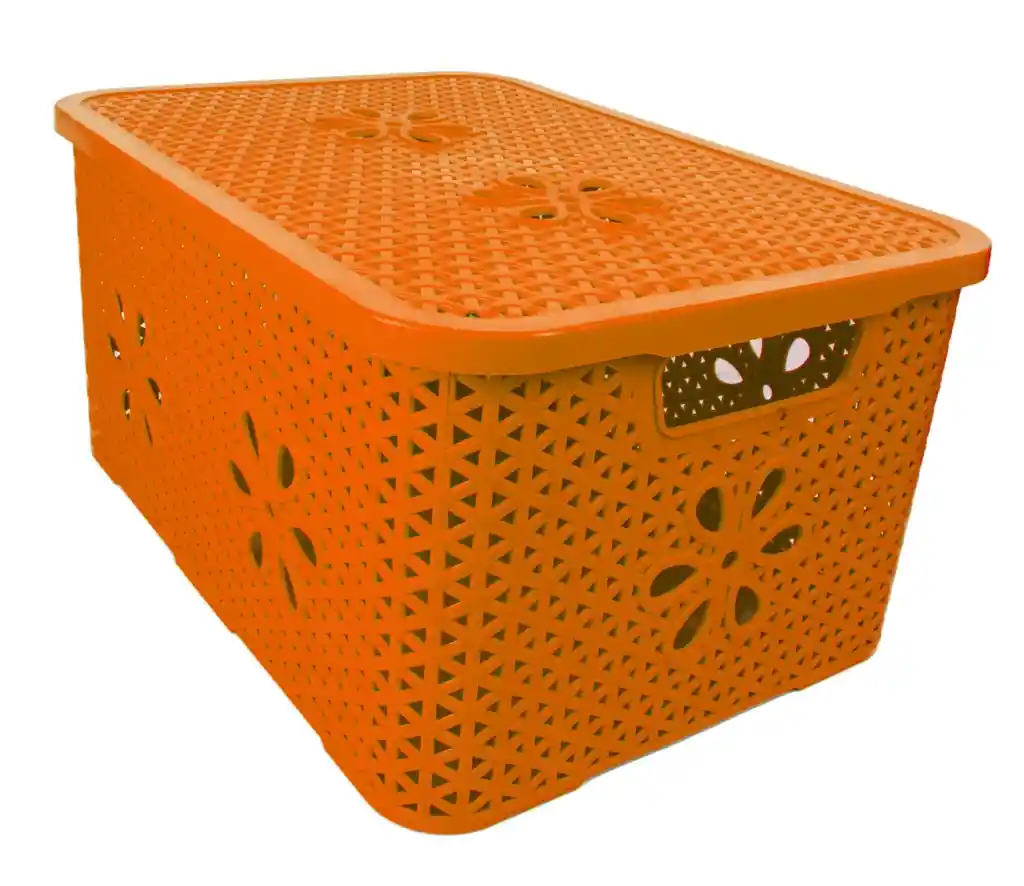 Caja Organizadora Ratan 8 Lt