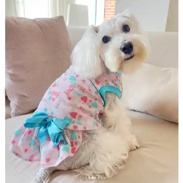 Vestidos Para Mascota Talla S