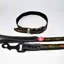 Collares + Correas Premium Para Mascotas S