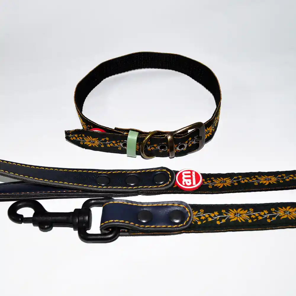 Collares + Correas Premium Para Mascotas S