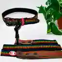 Collares + Correas Premium Para Mascotas S