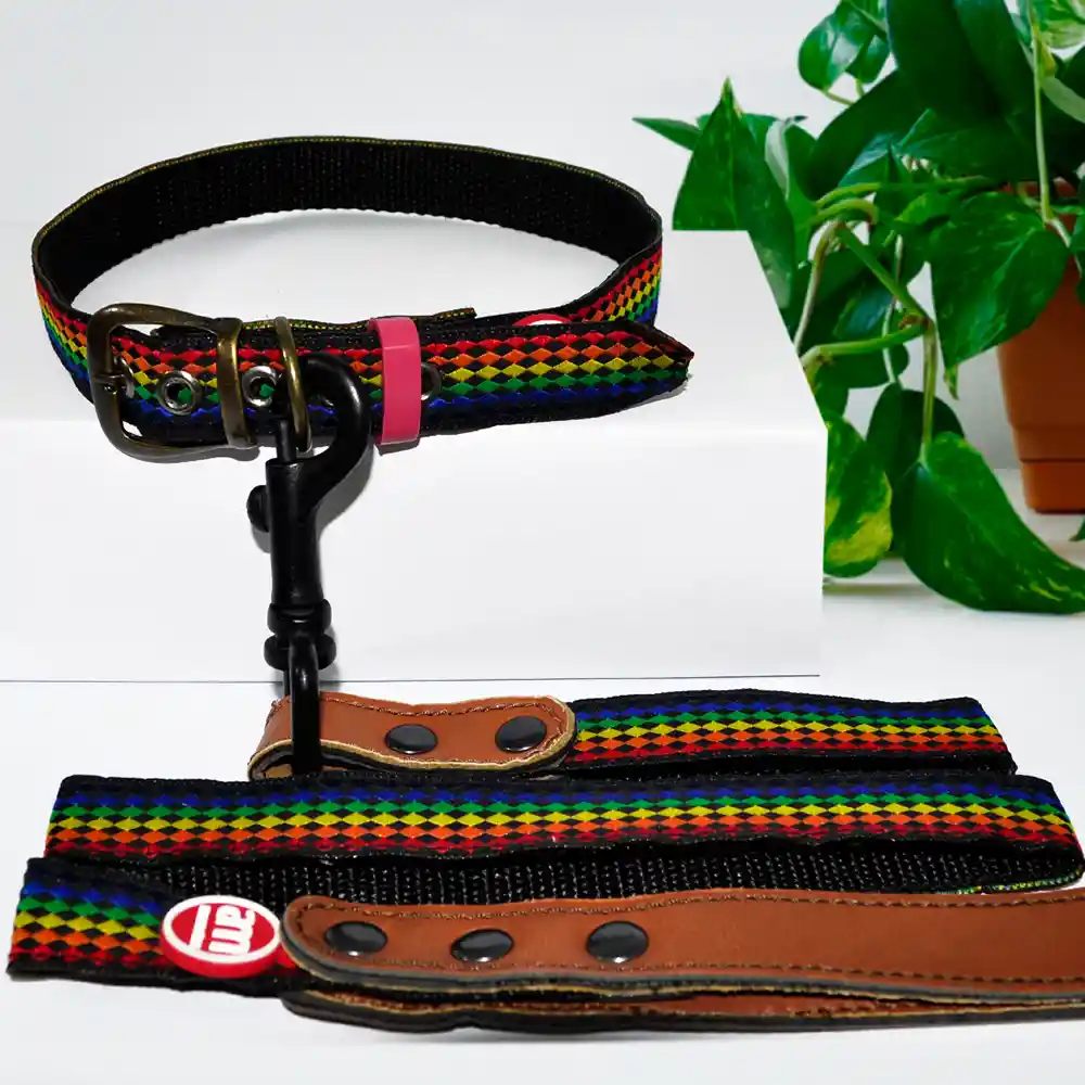 Collares + Correas Premium Para Mascotas S