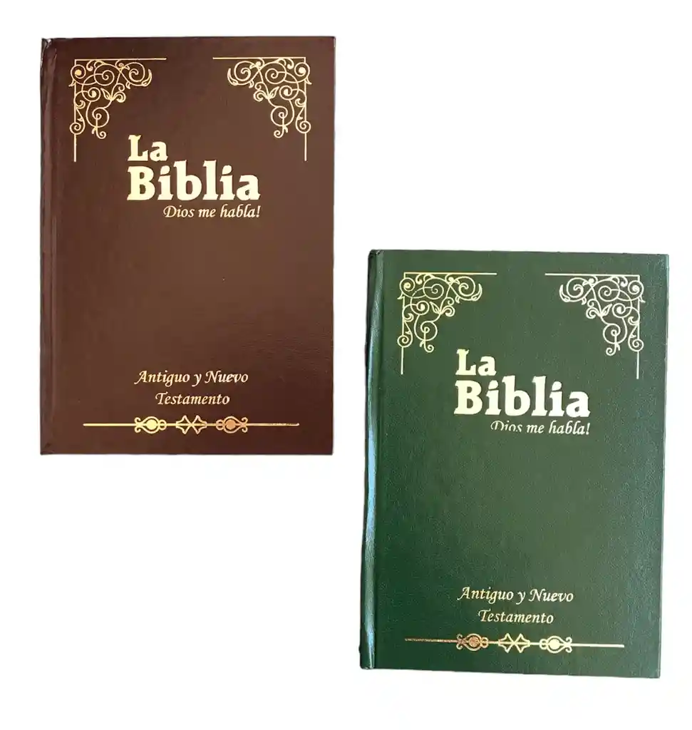 Biblia Tapa Dura 18 X 12 Cm