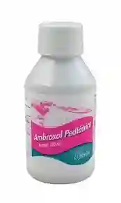 Ambroxol Pediatrico 15 Mg Jarabe 120 Ml Lp