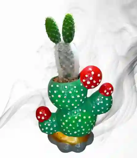 Planta Cactus En Matera De Ceramica Diseño Cactus
