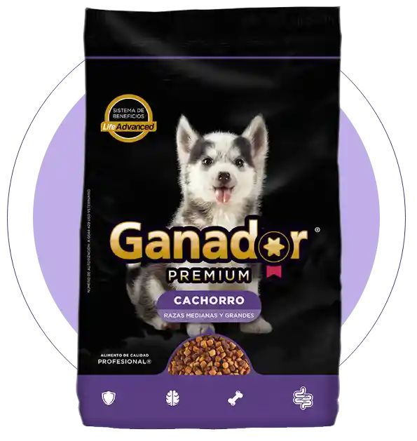 Ganador® Premium Cachorro X 2 Kg