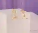 Aretes Serpiente